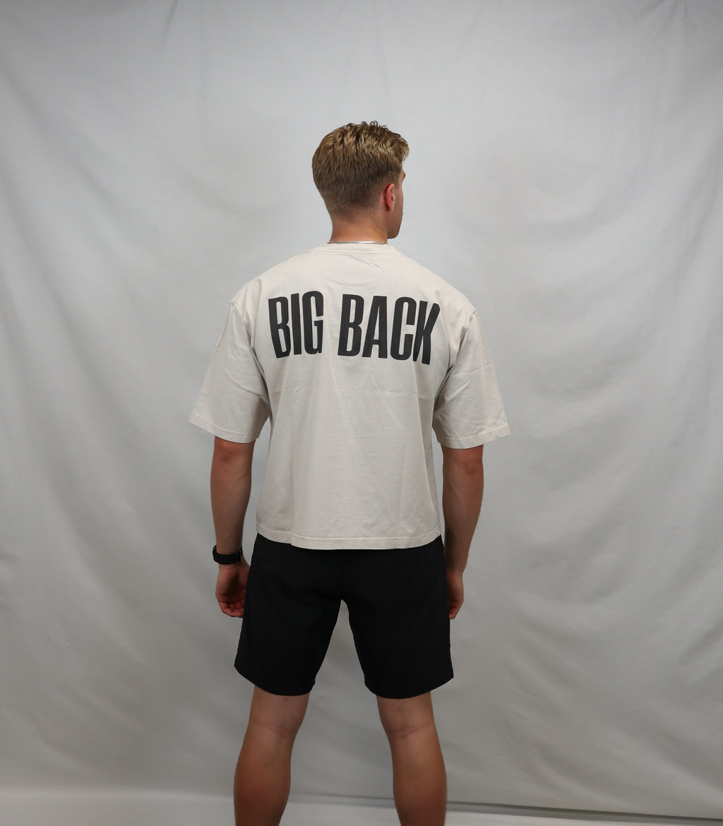 Box-Cut Classic BIG BACK Tee in Washed Stone